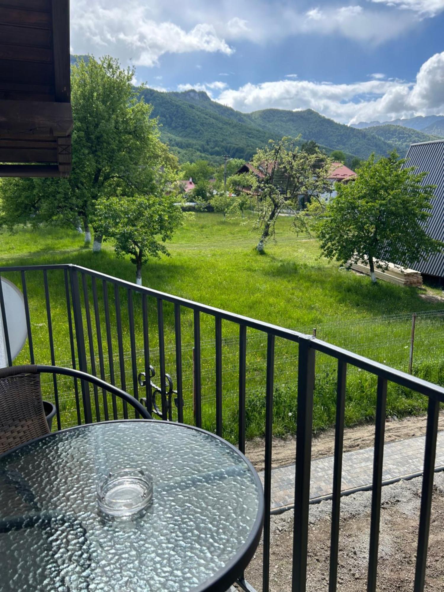 Casa Luca Ama Bran Villa Bran  Exterior photo